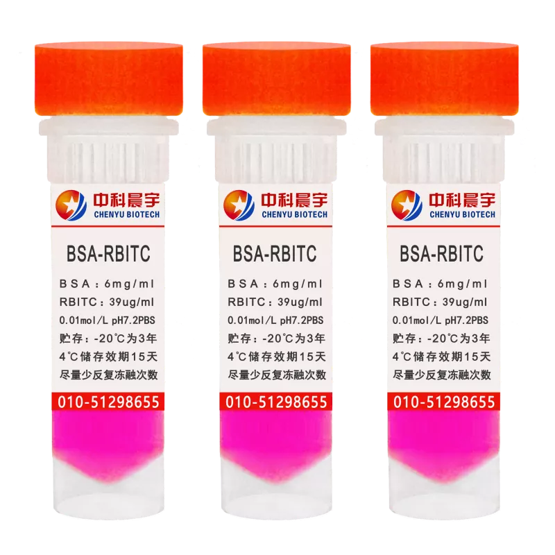 BSA-RBITC