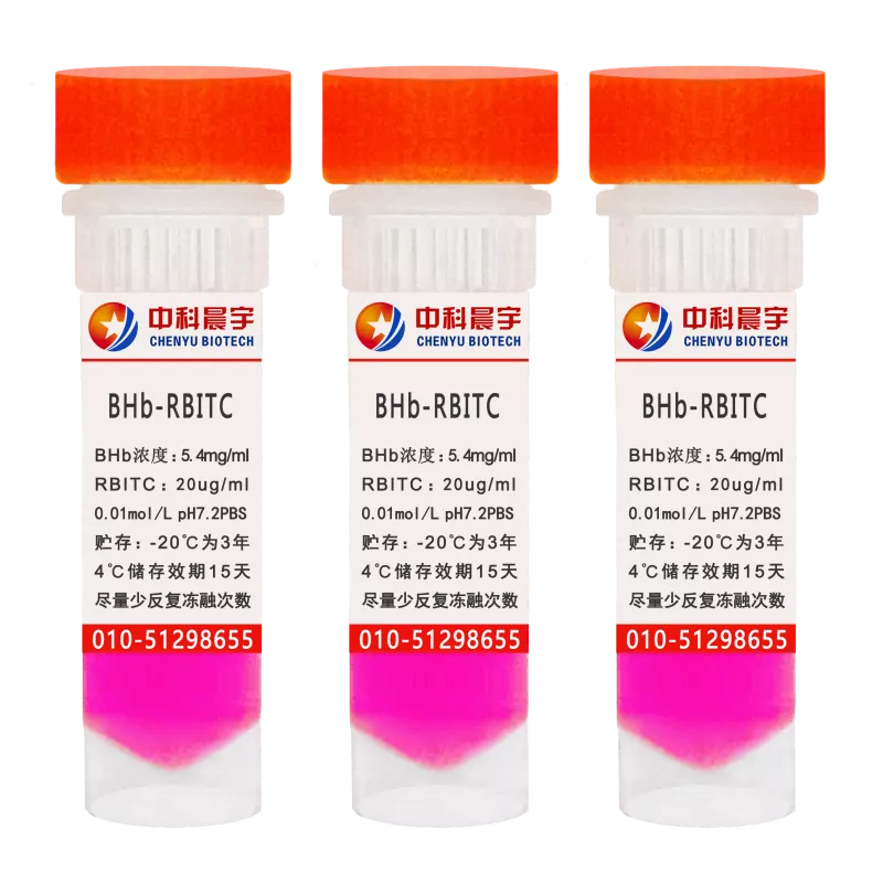 牛血红蛋白-RBITC