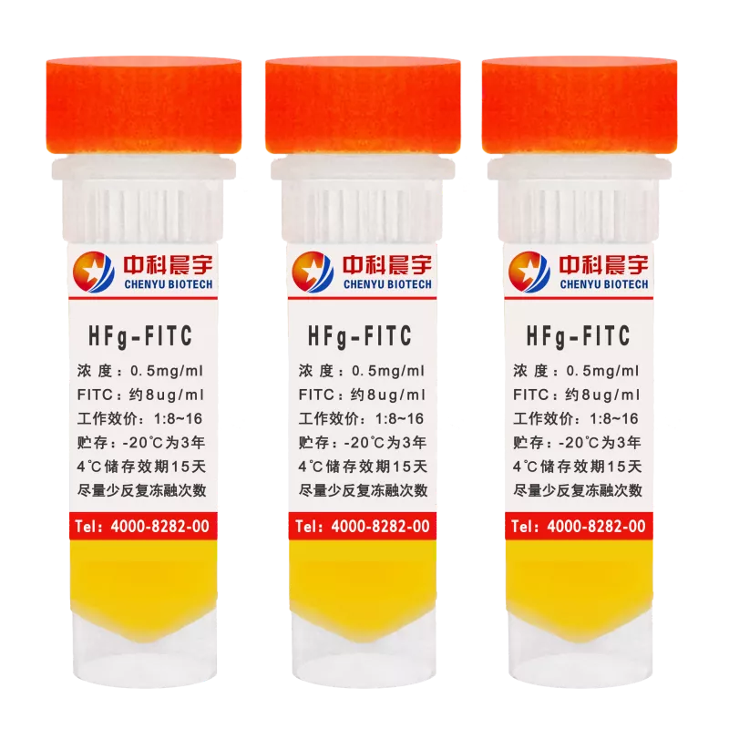人纤维蛋白原-FITC