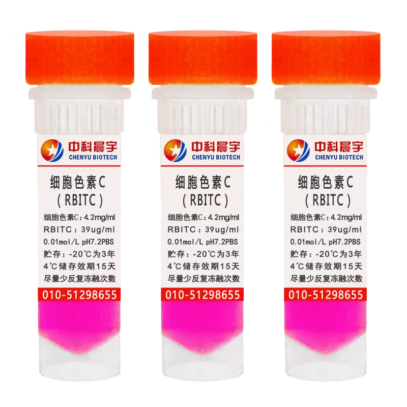 细胞色素C-RBITC