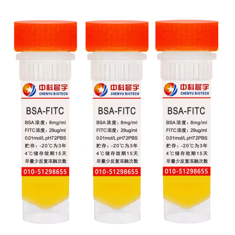 BSA-FITC